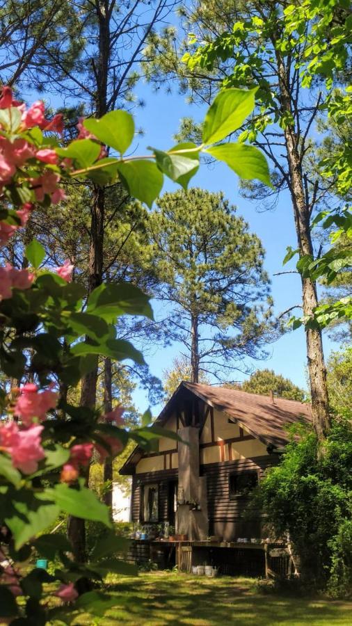 Cabana En Carilo Villa Eksteriør bilde